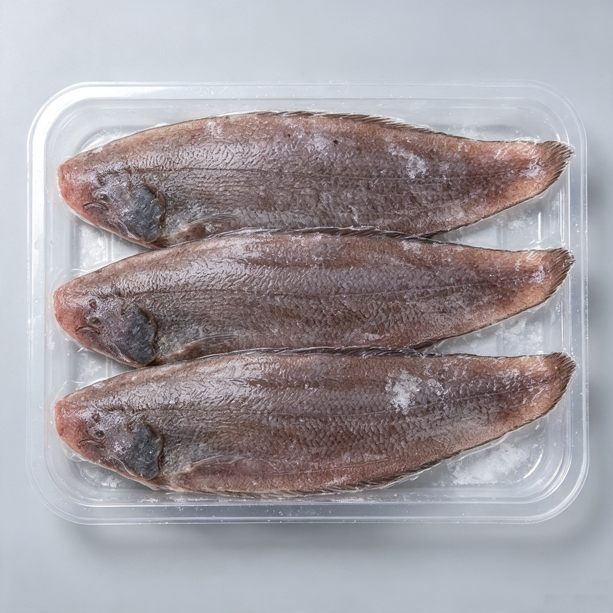 Large Sole Fish, Frozen